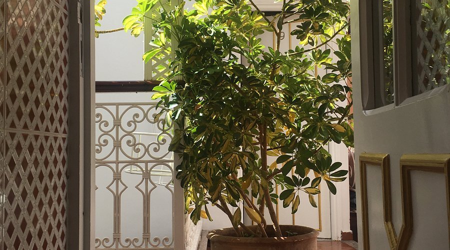 Hotel Zaitoune, Marrakesh